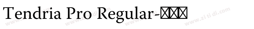 Tendria Pro Regular字体转换